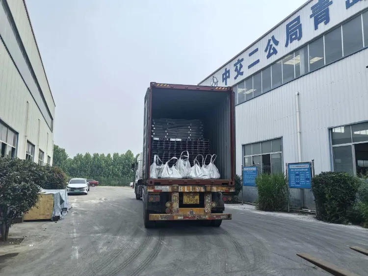 Qingdao Liweiyuan stålkonstruktion leverer tilpassede stålkomponenter til fiskefarme til islandsk kunde