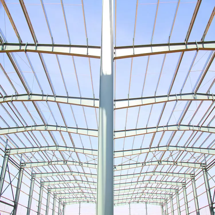 Steel Structure Farm
